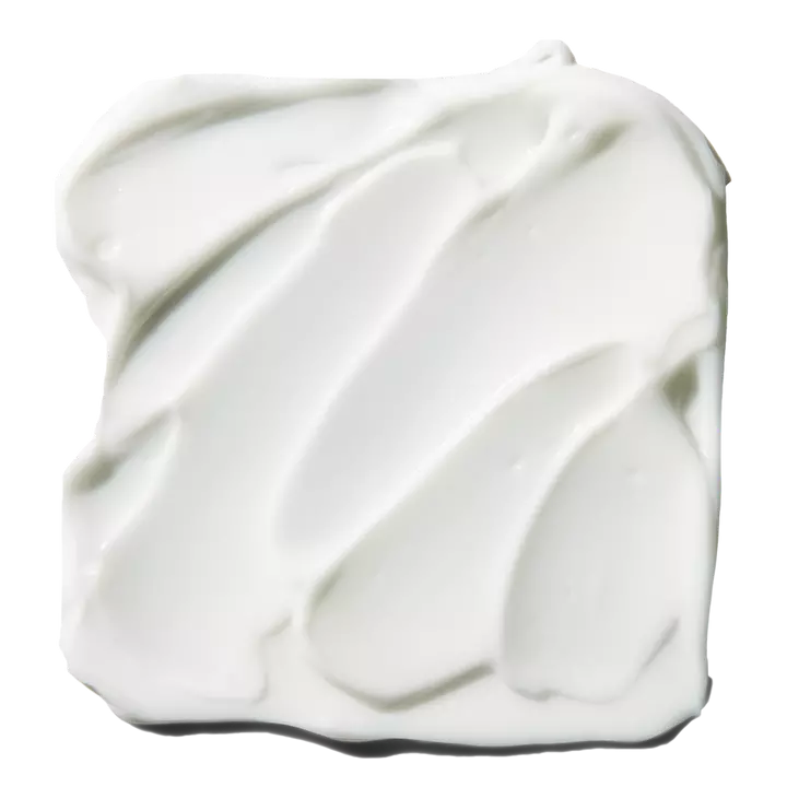 PREVENTA Poreless Face Primer - Large