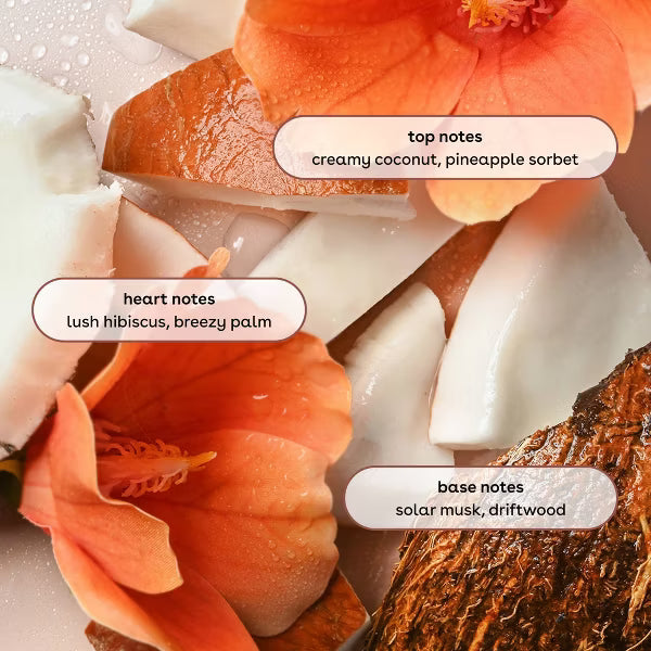 Bruma Coconut Waters | eos